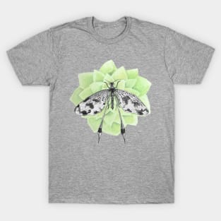 Dragonfly with tender green flower T-Shirt